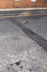 |搞笑GIF:被柠檬酸倒的宝宝,这辈子估计不想再吃这个水果了