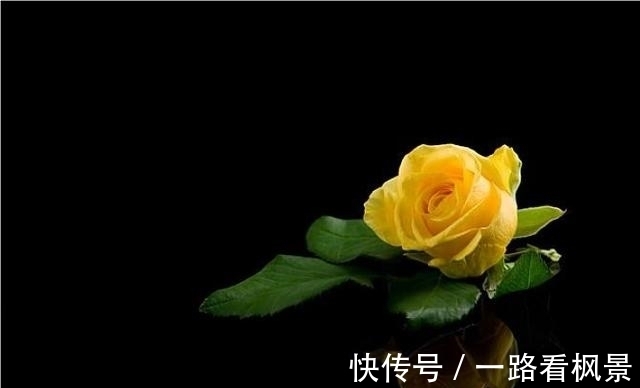 缘分|9月份期间，缘分与桃花继续付出，偶然相遇完美真爱的四大生肖！