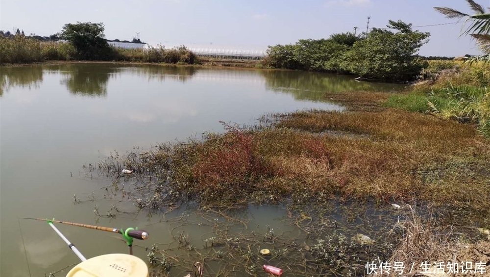 春季钓鱼:惊蛰之后钓雨雾,清明过后钓风雨,这些变化规律要牢记