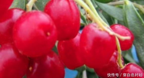 女人爱美,常吃4种食物,不仅清肠排毒,润肠通便,还甩掉大肚子