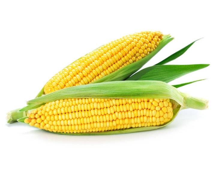 谷胱甘肽|为何玉米被称为“黄金作物”注重健康的人都选它