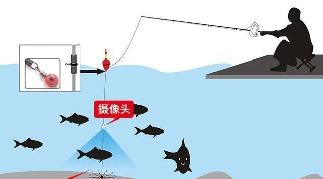 天津海河这样“钓鱼”也行？有人“可视锚鱼”加遥控船打窝，公开叫卖渔获物