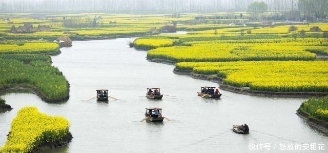 绝句|范仲淹鲜为人知的绝句，语言质朴平易，却充满了哲理