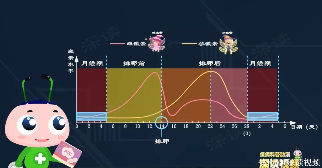 卵巢|长效避孕药吃一片管一个月？贸然停药易致大出血？如何正确服用？