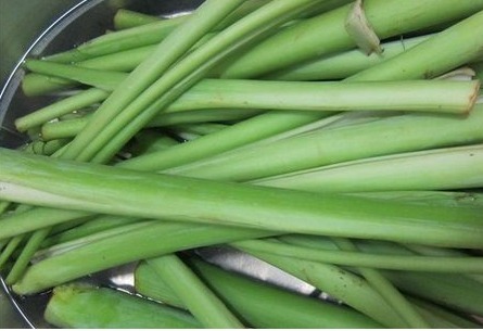 野菜|农村常见的3种野菜，女人多吃能清热解毒、凉血止血、祛湿降压