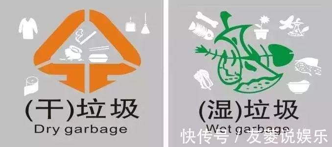 土壤|4种垃圾不会分类别担心,埋在花盆底,叶子绿得直滴油!
