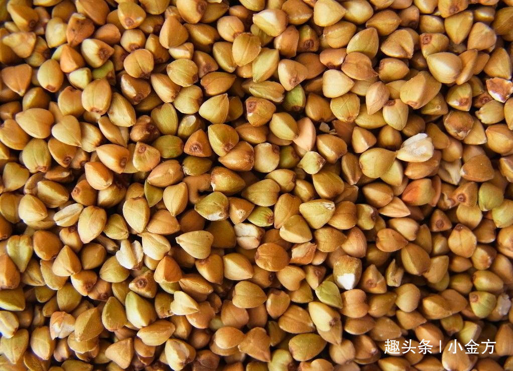 菊花|炙手可热的6个“降三高”食疗方，三高人士请收好，家有老人珍藏