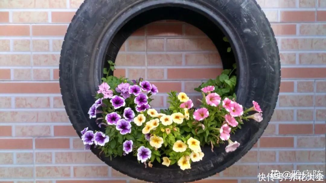 旧筷子、老干妈瓶别扔,拿来养花效果好,省下一笔养花钱