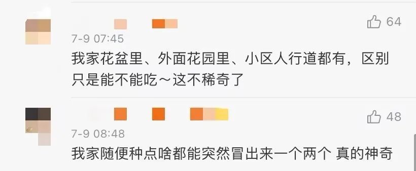 野生菌|办公室长野生菌,2.8亿网友围观!专家:有毒!别吃!