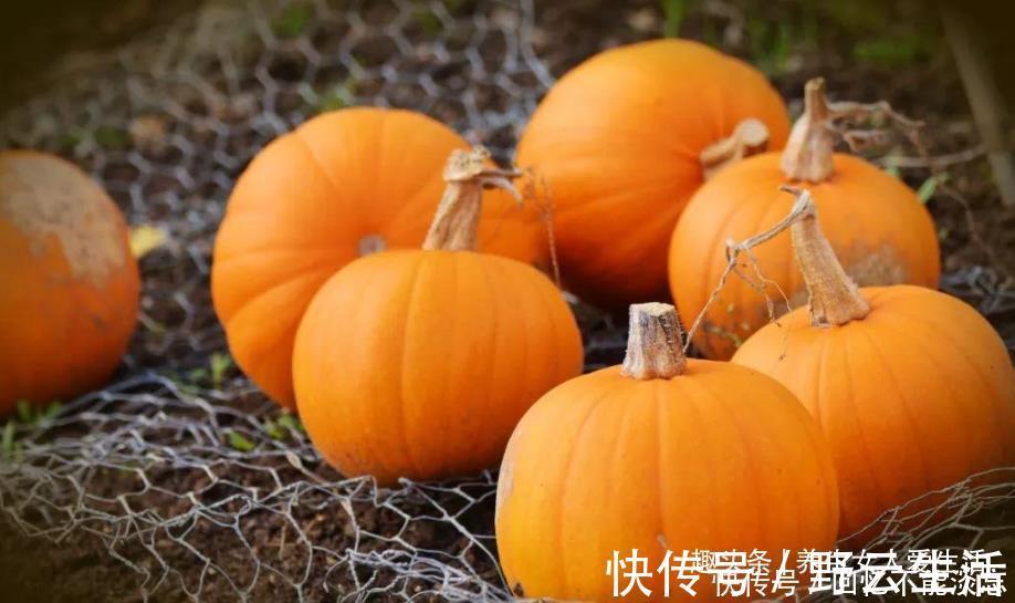 记忆力|3种天然“脑黄金”，每天吃点，增强智力记忆力，预防老年痴呆