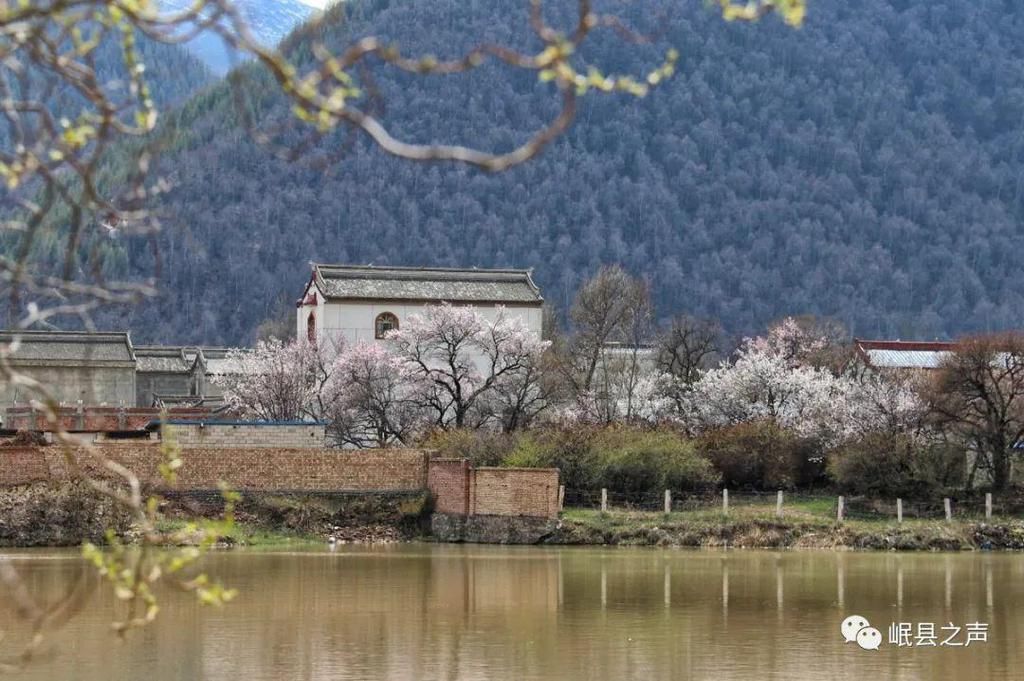 岷县的春夏秋冬，看不够！