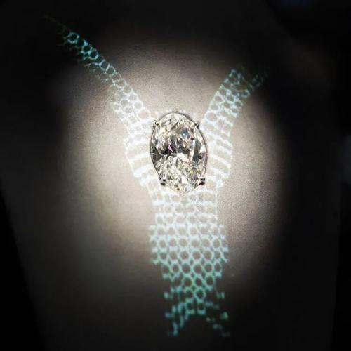 Tiffany 家最大的钻石，好闪！