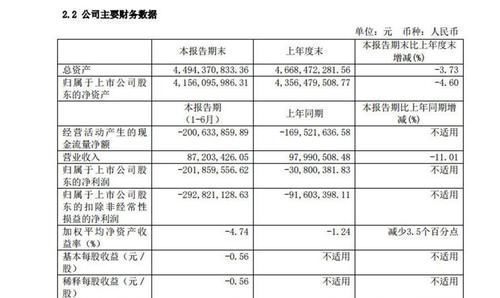 有多少人记得寒武纪?上半年巨亏超2亿,人工智能真没市场?