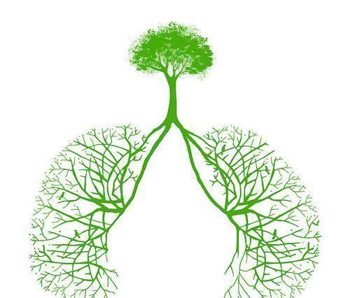 松子|寿命比较长的人,身上3处比较“干净”,若3处都是,值得恭喜