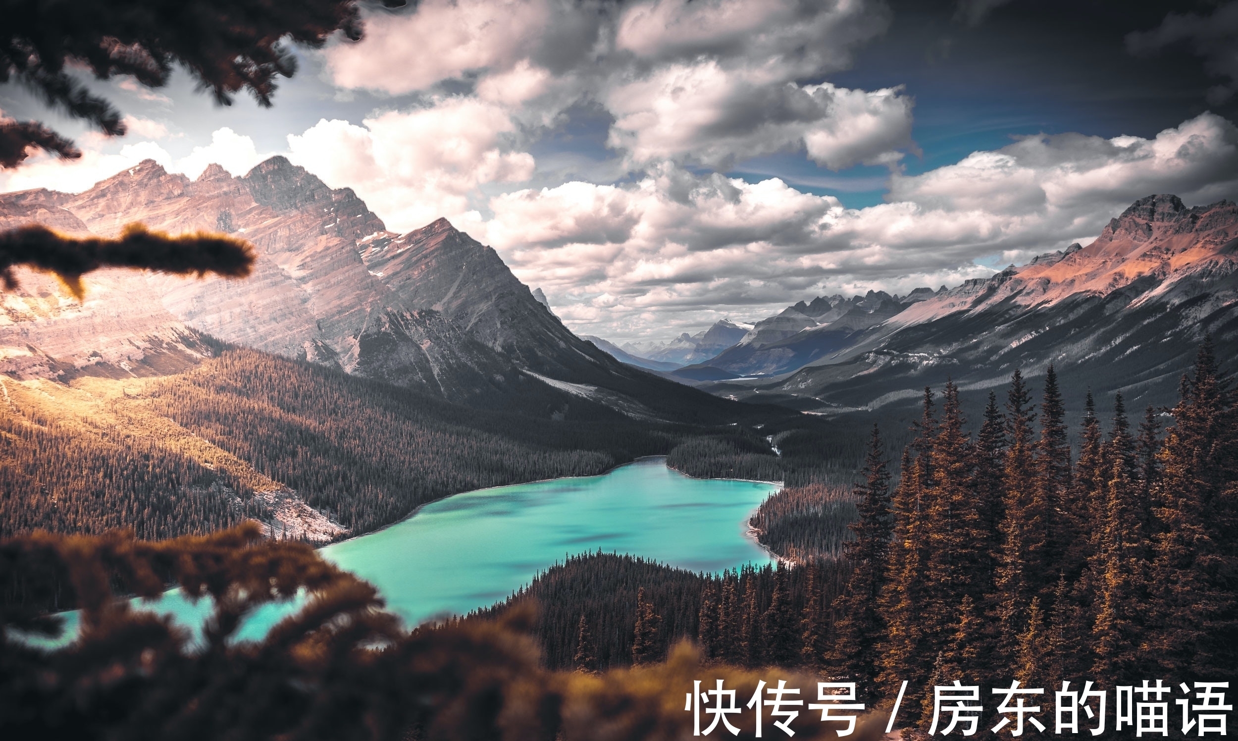 茅屋!王安石5首经典词作赏析:或平淡或豪纵,读来回味悠长