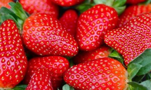 女性“大姨妈”时,多吃4种食物,排出毒素,调节月经,预防早衰