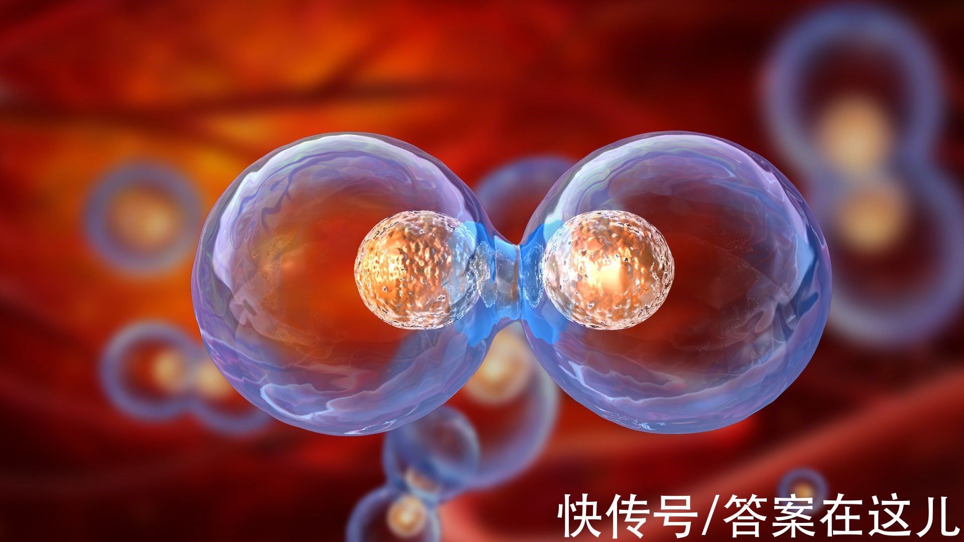 平均寿命@人类理论上能活1000岁,为何余下的900多岁,无故“消失”了?