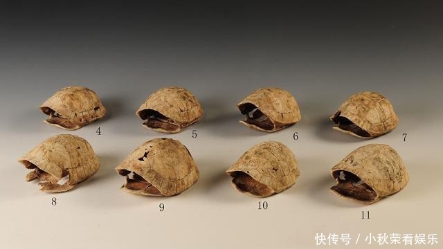 挖出|小学老师与学生户外劳动,却挖出一片古遗址,欧美专家连说:假的