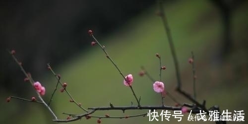 杜鹃声里斜阳暮|秦观的这首《踏莎行》哀婉而凄美，可以说是他被贬生涯的一个缩影