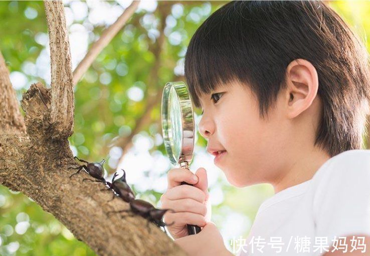 孩子|孩子的“大自然缺失症”悄悄蔓延,养娃过程中,勿忘与自然同行