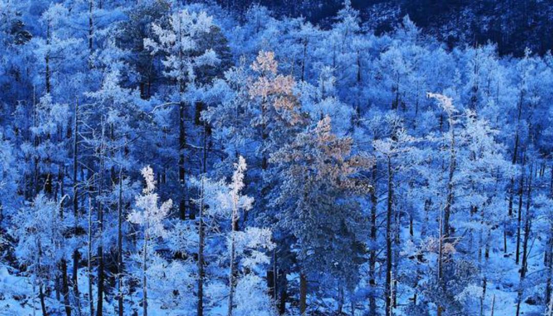 写出|杨万里两首绝美的咏雪诗,虽然有一些冷门,但是美得令人心醉
