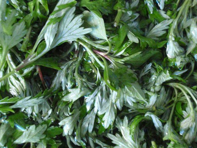 虎尾草|农村3种不起眼的野草,专治脚气、香港脚,不花一毛钱就能治好