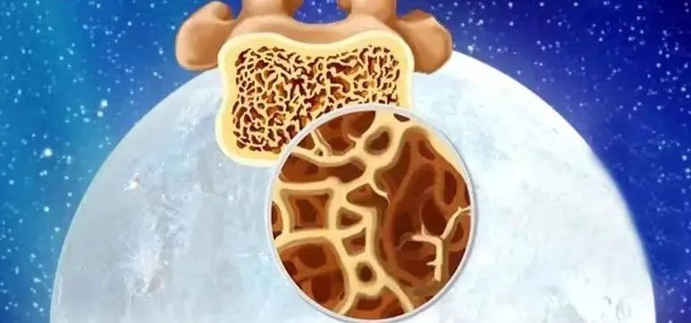 萝卜|蔬菜中的“补钙冠军”,比萝卜更有营养!这样吃,抗病、强体