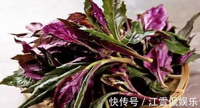 刮油|秋季不想大肚腩,推荐3种食物,刮油消脂,清理肠胃,营养又瘦身