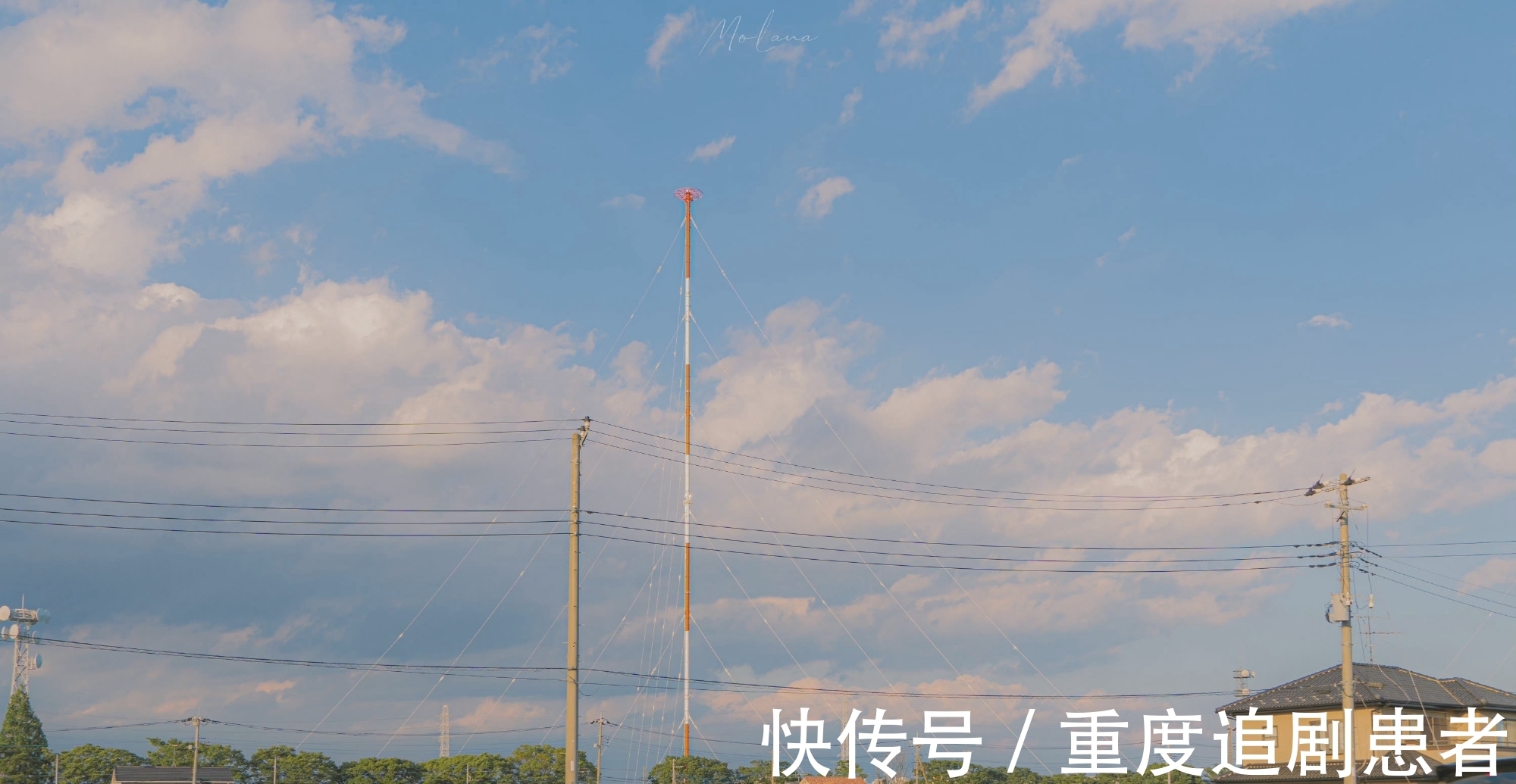 闻恕&推文茶话会｜荔枝很甜大大合集 强推《你怎么欺负人》等 好好看