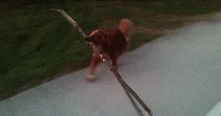 |搞笑GIF:姑娘 你这一字马厉害了 把旁边的小哥都吓跑了