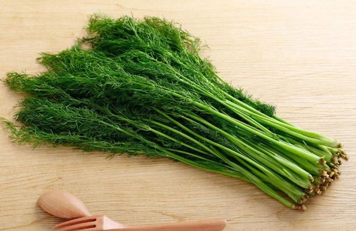 出伏后，建议多吃“四类”食物，好吃又营养，应季而食顺利入秋