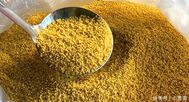 浓厚|熬小米粥时,“最忌”直接下锅,多加1步,米油浓厚,香糯好喝