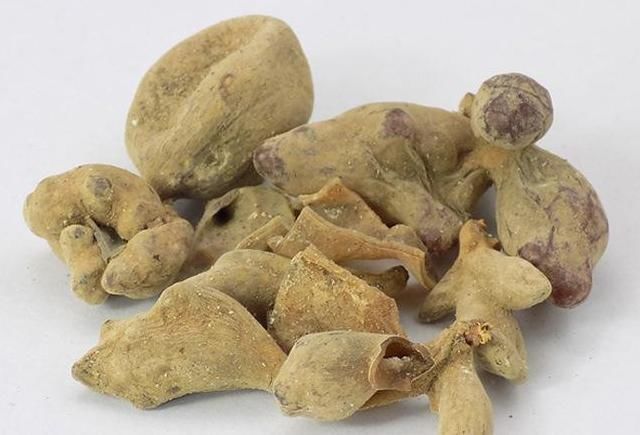 本草衍义|老祖宗的好办法一味中药治牙疼，不用吃，一涂抹就好