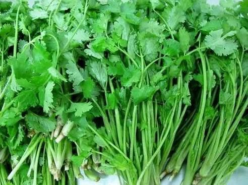 种菜|春天一种菜，尤为适合女性吃，调理月经，养护子宫，越吃越年轻