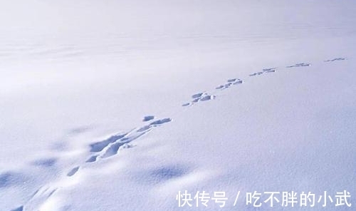 诗人$罗隐的一首《雪》，短短八句话，不提一个雪字，却细腻逼真