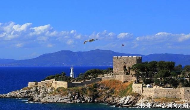 干嘛|土耳其说中国怕了我们200年，中国回应那你们跑那么远干嘛