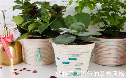 喷洒|小苏打养花技巧:堆肥去异味,喷洒叶面杀虫抑菌,天然清洁剂