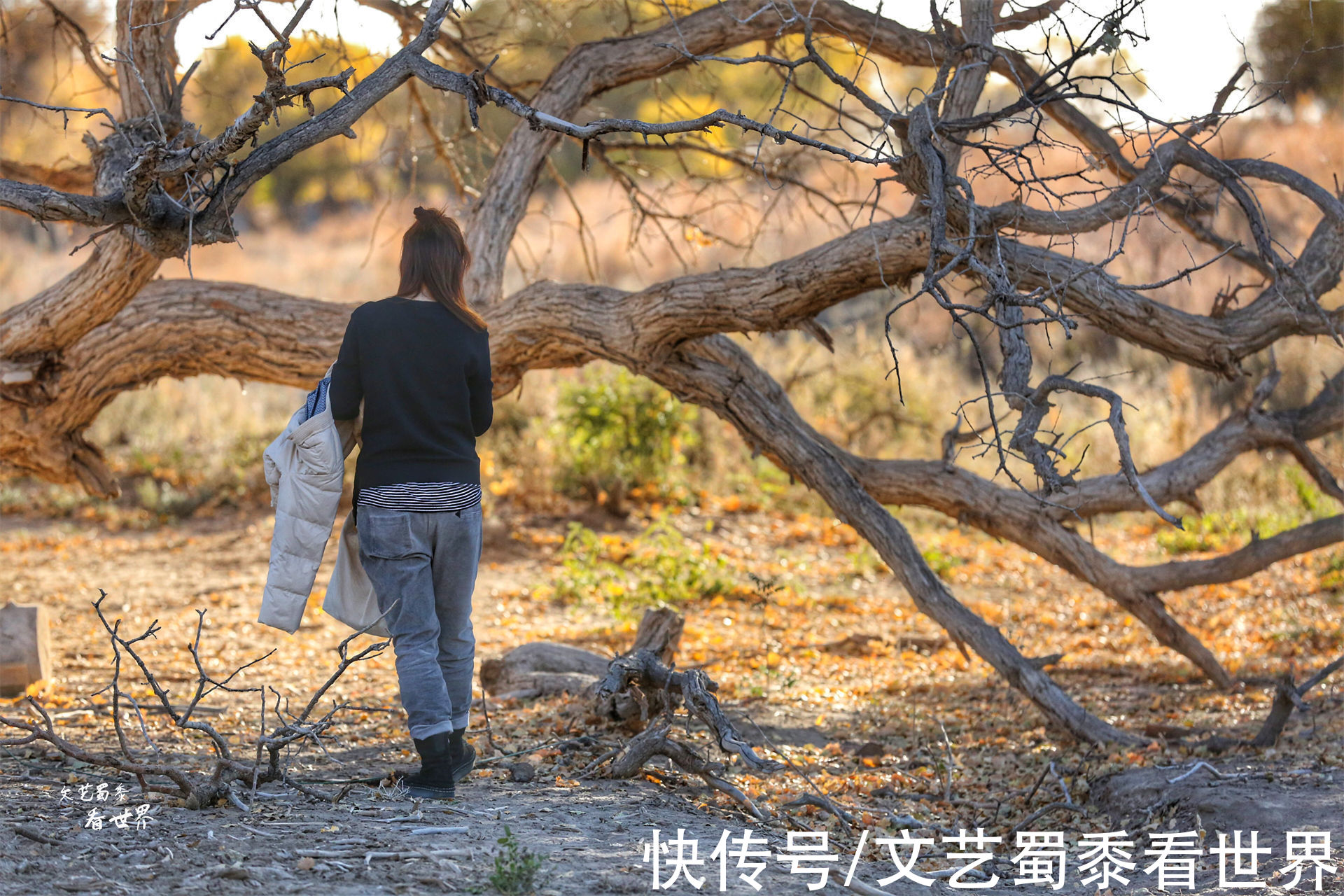 额济纳旗|额济纳旗胡杨要变得金黄了，错过了就要再等一年，找个人陪你去吧