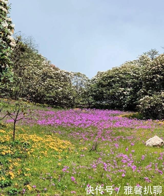 高山海子|「九鼎山」漫步云端后花园