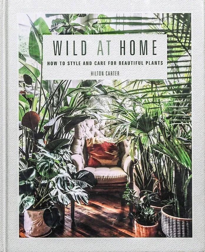 这位“奇葩”大胡子男人，不仅与猫狗同居，还与300株植物同居