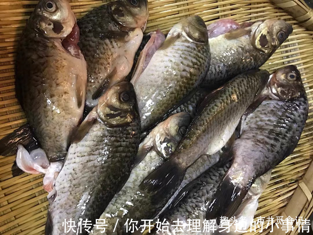 营养|8种“坐月子”要常吃的食材,营养全恢复快,家里有产妇要收藏