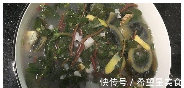 女性朋友|农村看到这种草，务必别“踩”，采点回去吃，杀菌消炎，女人多吃！