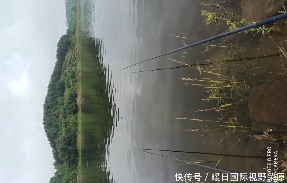 抄网|记录一场我去年野钓的奇遇,难不成鱼也有爱情?