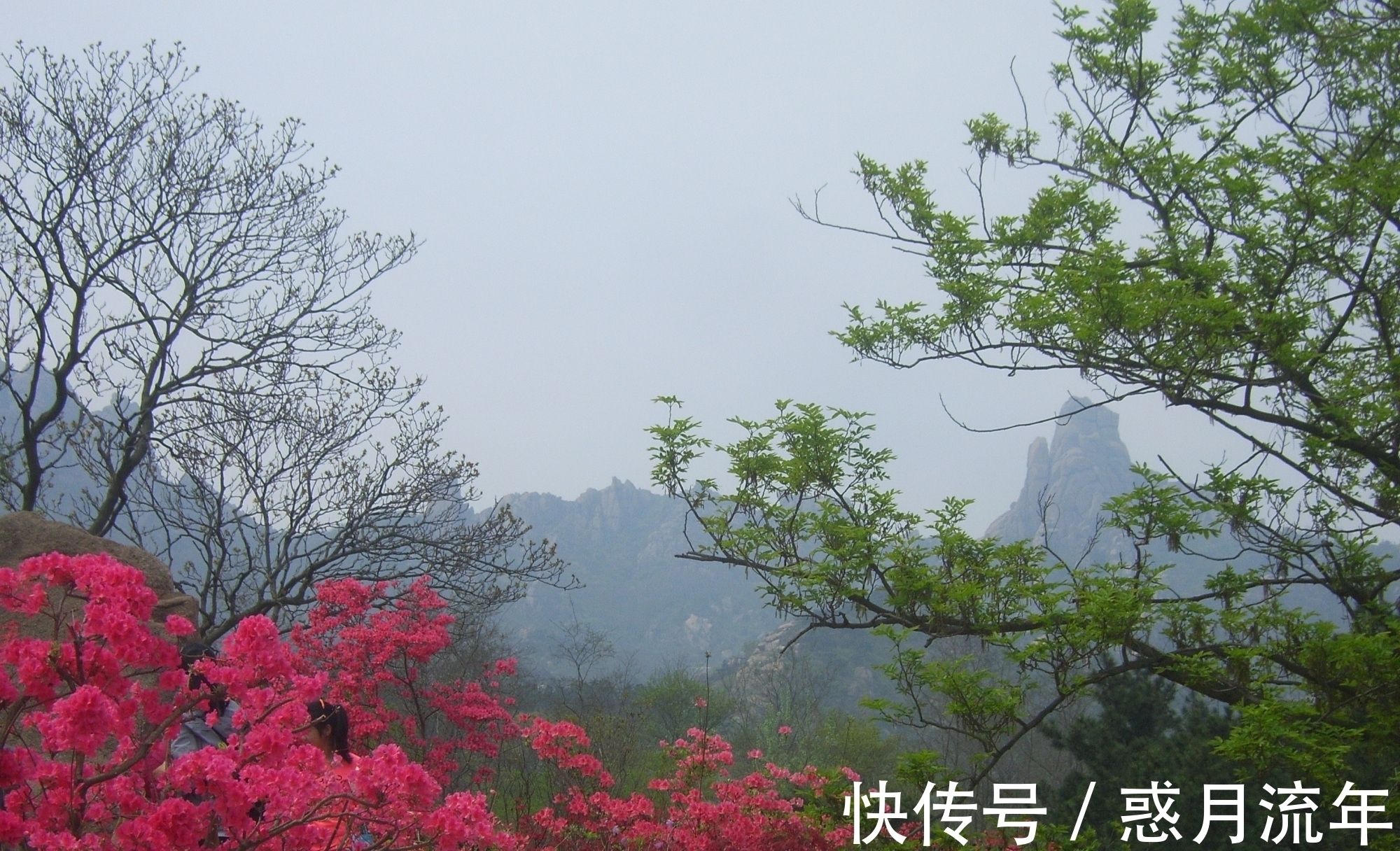 诗居雅韵&七言绝句《诗居雅韵》，生活没有诗，就像做菜没放盐一样，无味