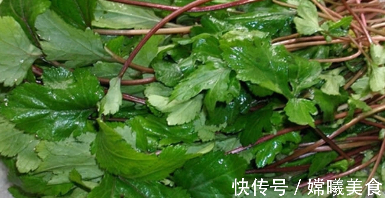 效用|南方地区特有的一种野菜,效用居然比益母草高,潮汕人用它煮汤喝