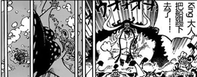 海贼王|海贼王玲玲落水凯多急了,没想到套着游泳圈凯多这么可爱!