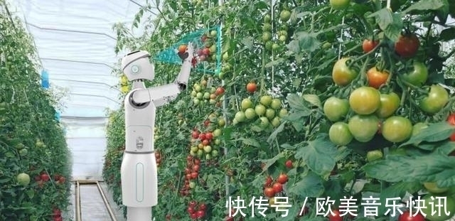 云端|国内首发!高新这款人形智能机器人正式“上岗”