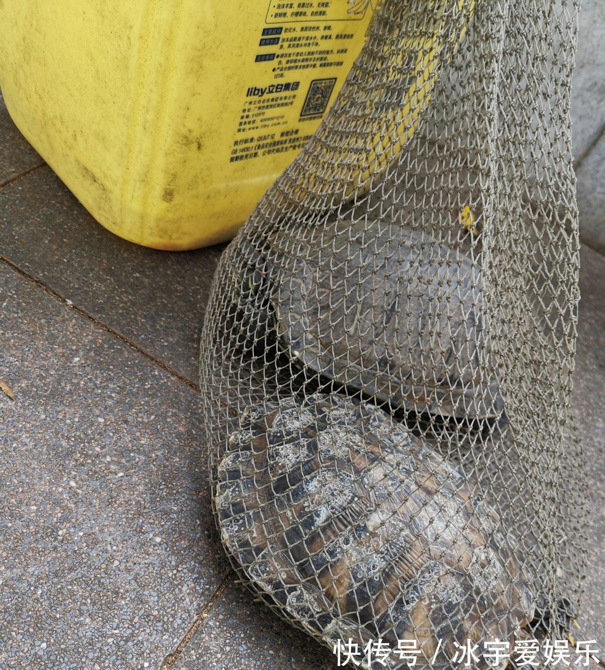 职业|珠江边的职业钓鱼人，一天可赚六百，其他钓鱼人这样钓鱼不纯粹