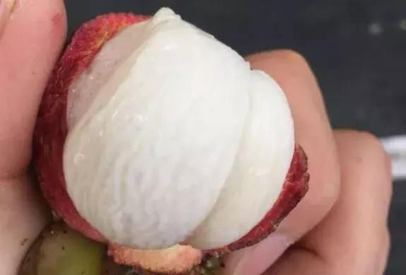 就连卖水|最难剥皮的5种水果，卖水果的都无能为力，全能剥开的是狠人！