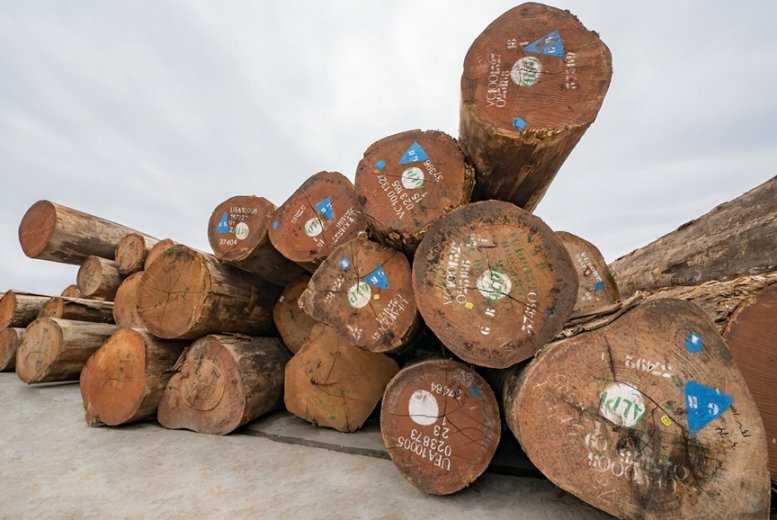 全屋|莫干山板材ENF级环保品质护航家居消费者“绿色刚需”